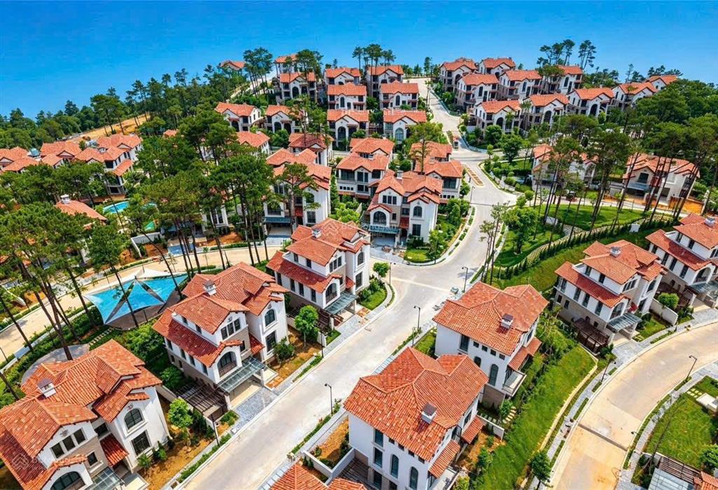 Do mua 2 căn nên tôi có nhu cầu bán lại 1 căn biệt song lập căn góc đẹp dự án nhận nhà ở luôn