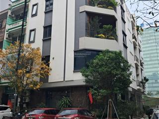 Bán nhà, phân lô trần quý kiên, cầu giấy 70m2, 24 chỗ, vỉa hè, 25 tỷ, thang máy, chủ nhà bán kín