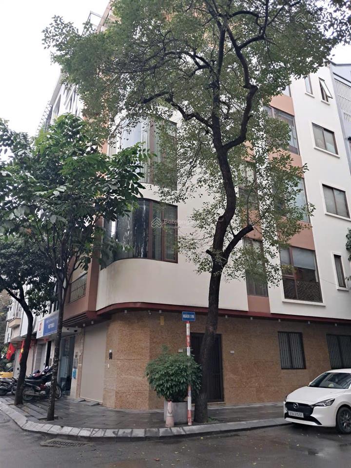 Bán nhà, phân lô trần quốc hoàn, cầu giấy 72m2, 24 chỗ, vỉa hè, 23 tỷ , thang máy, văn phòng, ở vip
