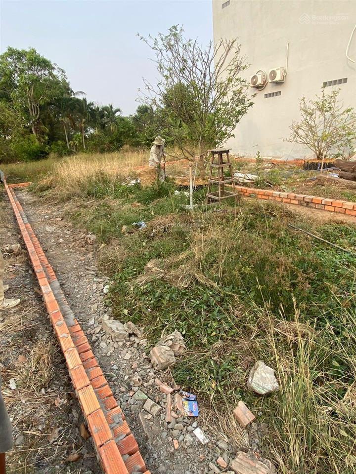 Gò đen, hạ giá bán lỗ đất đường xe hơi, 5x20, shr, thổ cư 100%, gần chợ gò đen bến lức, 1.2 tỷ tl