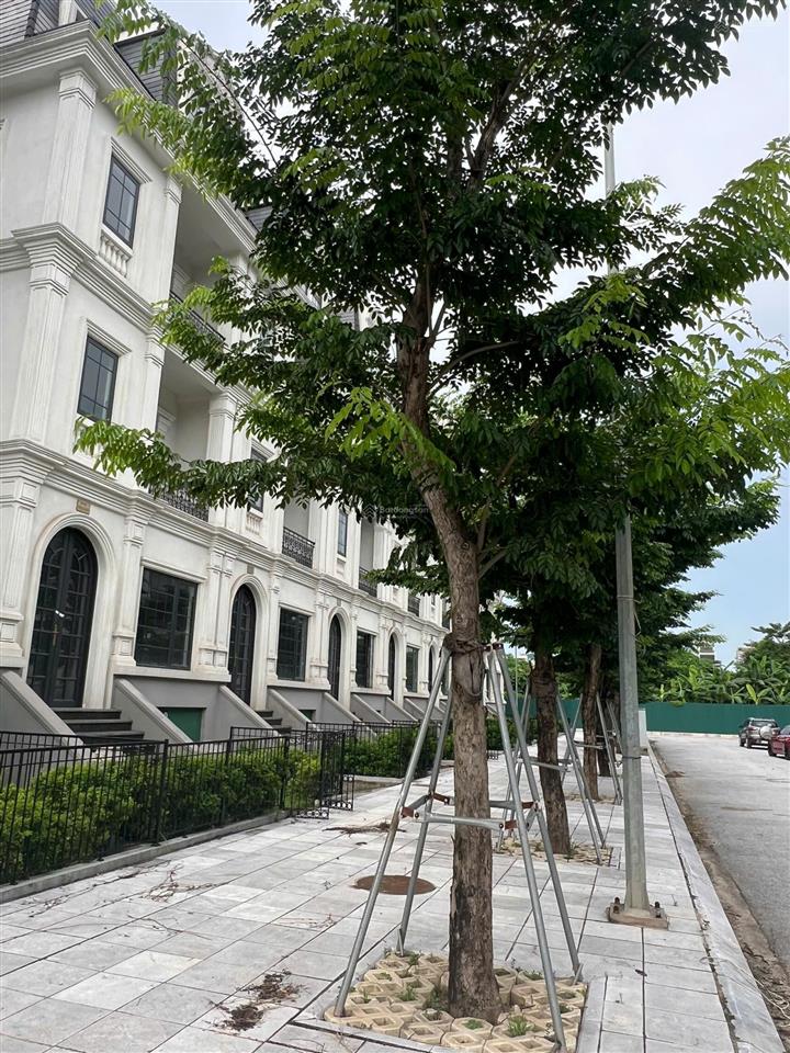 Mới ra căn liền kề jade square 116m² mặt vườn hoa  35 tỷ
