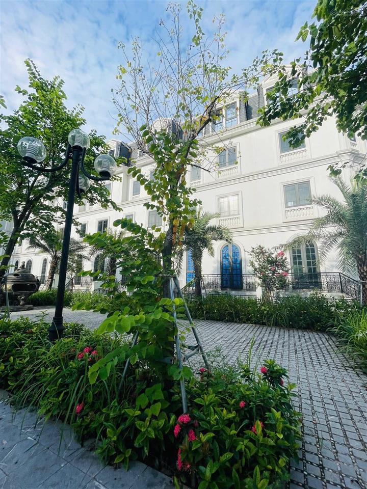 Cần bán gấp liền kề vườn hoa. giá bán nhanh 35,5 tỷ