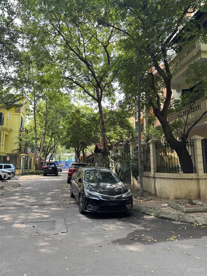Lô góc vũ phạm hàm, quy hoạch chuẩn, 100m² x 5t, vỉa hè, ô tô 2 mặt, 55 tỷ thương lượng