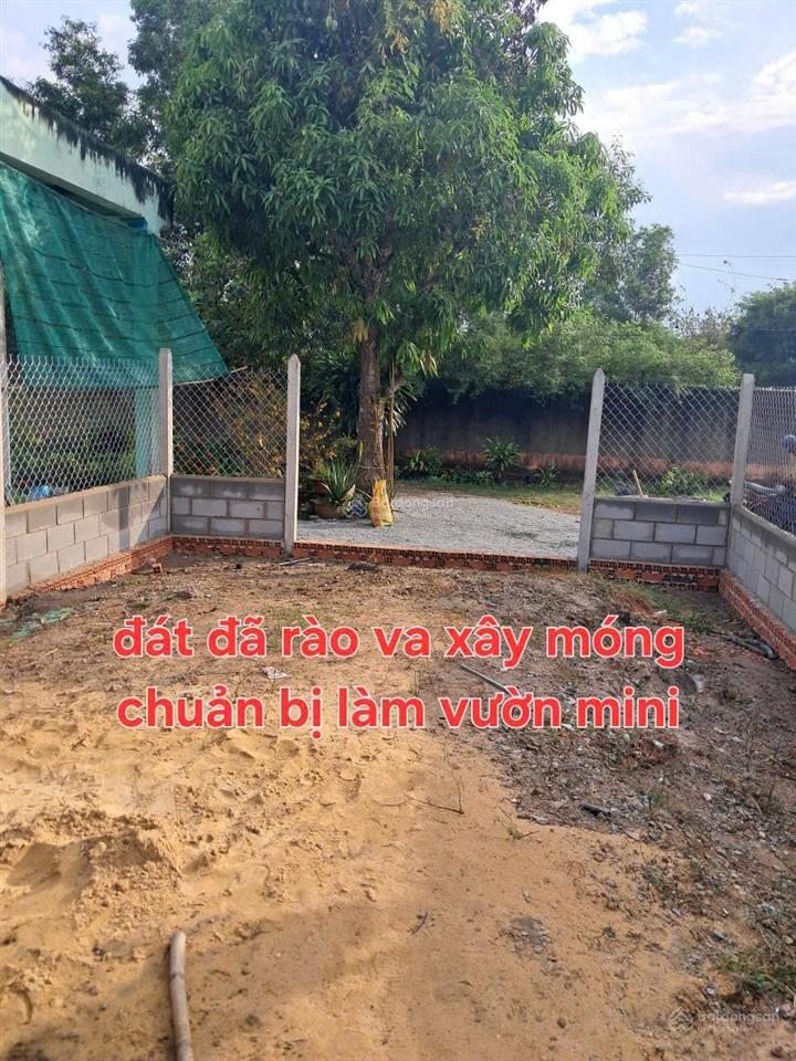 Kẹt vốn đầu năm chủ gởi lô đất (dt 6x31m) 890tr. sổ hồng riêng 1/đường phan văn khải, xã tân an hội