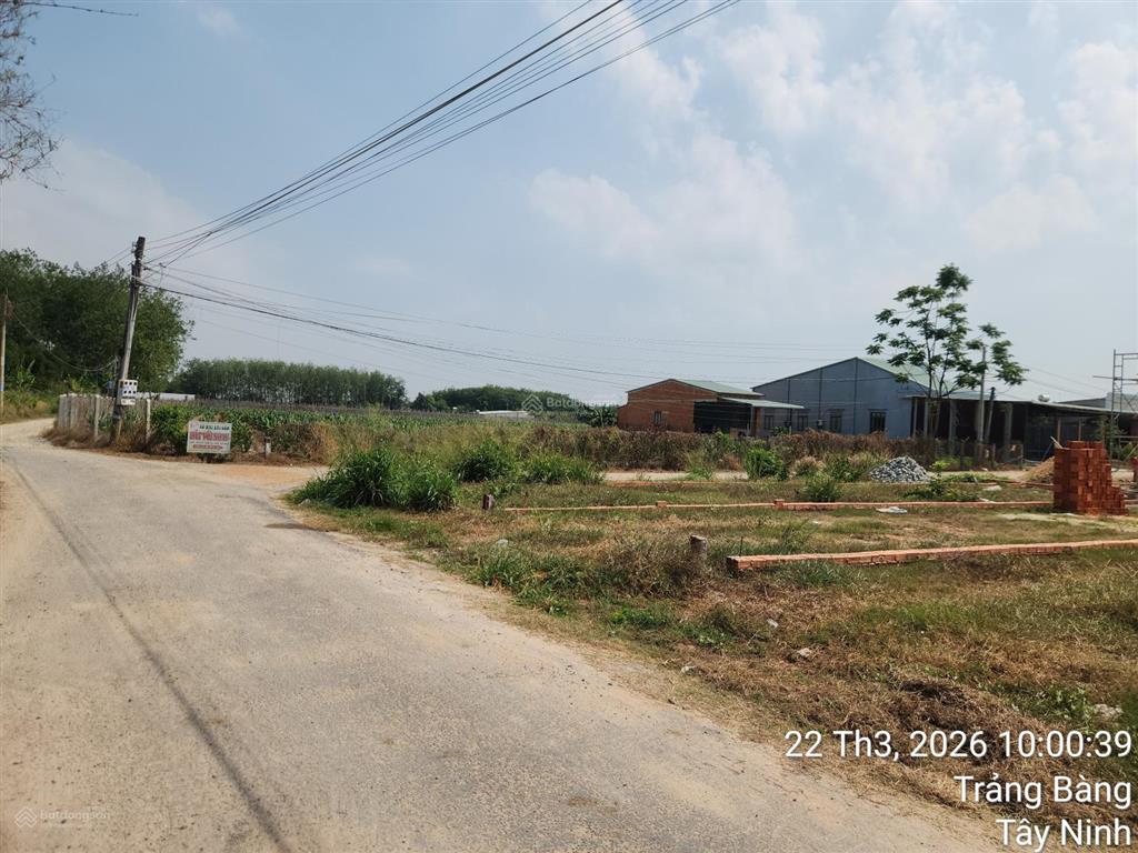 Đất mặt tiền đường nhựa thông tiện kinh doanh(dt6x50m)giá 790tr.sổ hồng riêng .0902 850 *** xem sổ