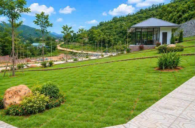 Hàng hiếm đất nghỉ dưỡng phú cát giá 15 triệu/m², cực hot