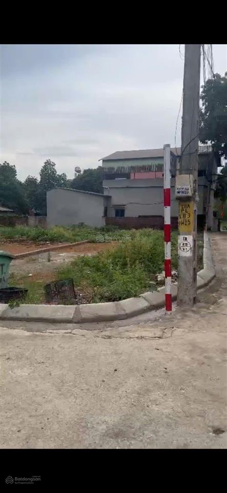 Chính chủ cần bán gấp giá 25 triệu kinh doanh nhà trọ ngay