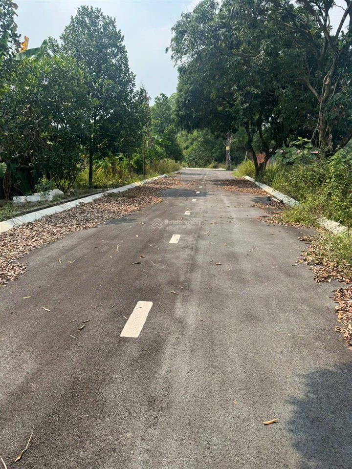Đất gần đồng trạng giá 2,3 tỷ  100m2 đất 2 mặt tiền vị trí tiềm năng