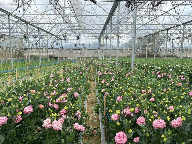 Chính chủ bán gấp đất thổ cư đơn dương  dt 5 x 27,5m 800tr cách ql27 chỉ 500m