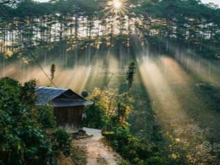 Bán gấp đất thổ cư lâm đồng, 5 x 27,5m 800tr cách ql27 chỉ 500m, sổ hồng chính chủ