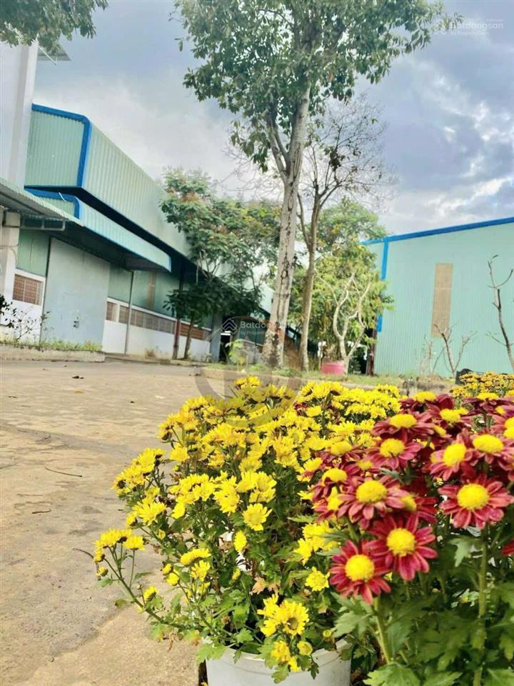 Nhà xưởng cho thuê 3000m2 khu công nghiệp lộc an, long thành, đồng nai