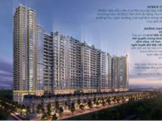 Bán gấp cc noble crystal tây hồ, 1x tỷ, 91m2, p. phú thượng, tây hồ, hà nội