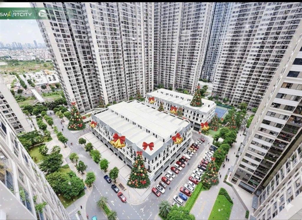 Cho thuê shophouse view đẹp tại vinhomes smart city, 135 triệu, 600m2