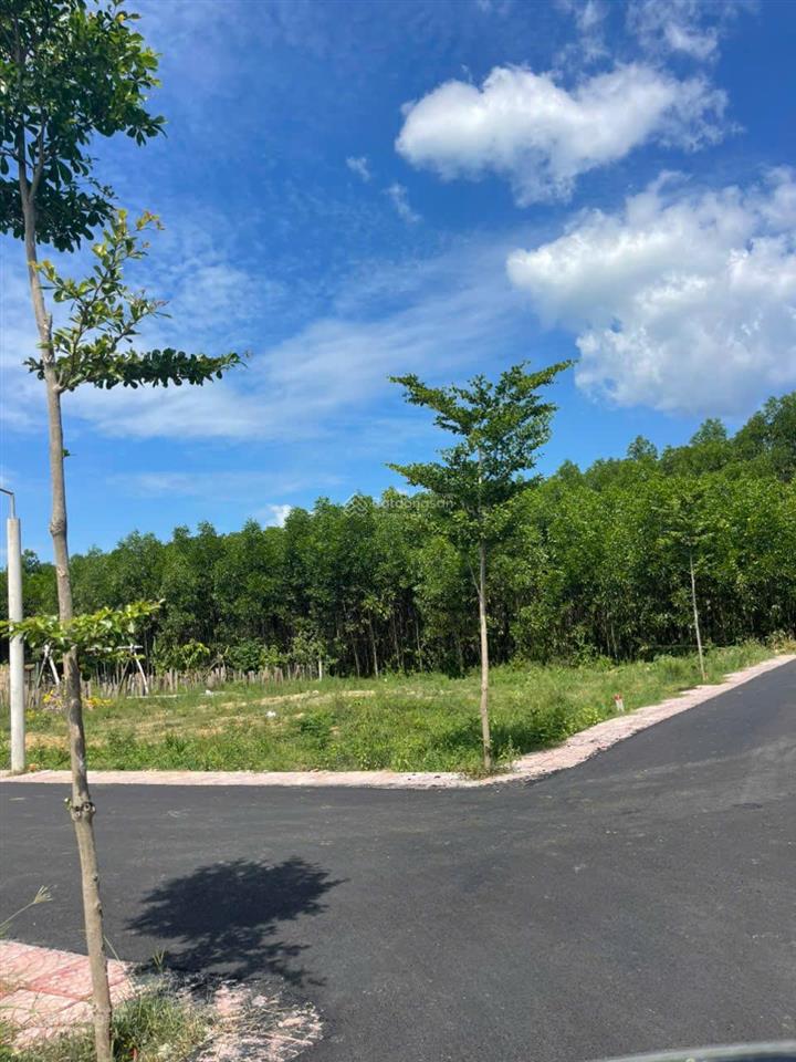 Bán đất nền ven sông đà nẵng vị trí đẹp, ngang 6m rộng 120m2 bao phí ra sổ giá chỉ 1.2 tỷ