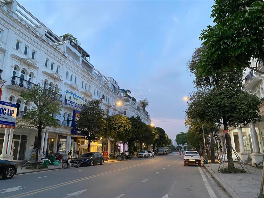 Bán gấp lk louis city trục chính kđt  đường 16m, vỉa hè 5m  view trường quốc tế