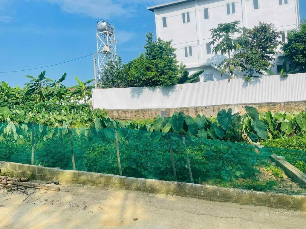 Bán đất nghỉ dưỡng tại tiến xuân, thạch thất, hà nội. diện tích 100m2 giá 2 tỷ 3