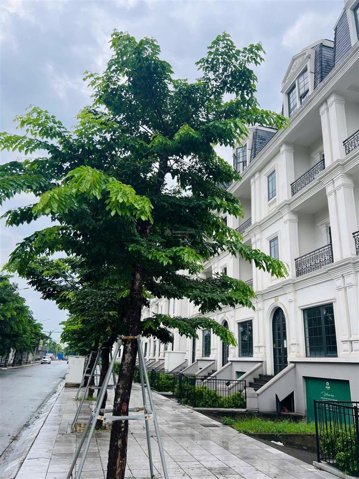 Siêu phẩm hàng hiếm bt romantic park tây hồ tây, 112m2 giá 415tr/m2 giá thương lượng thêm.