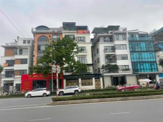 Bán bt đẹp xuất sắc tại embassy garden ngay tây hồ tây giá bao rẻ, 120m2, vị trí đẹp kinh doanh tốt