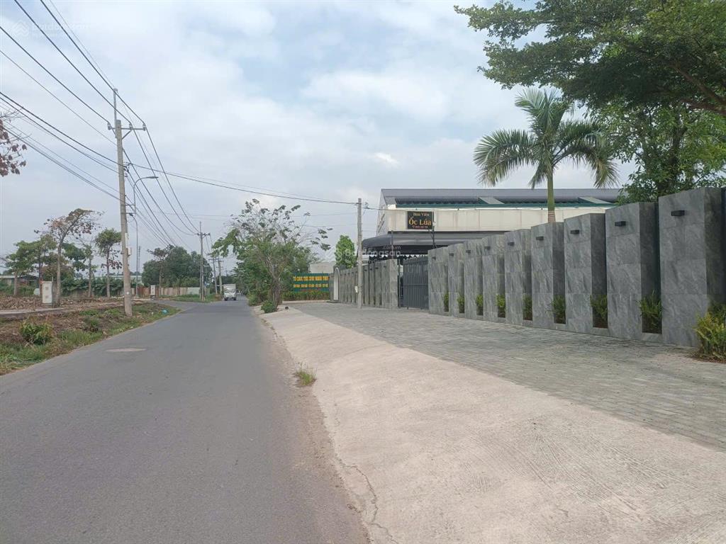3.2 tỷ/1000m2 đất ngay võ văn bích, xã tân thạnh đông, liền kề hóc môn