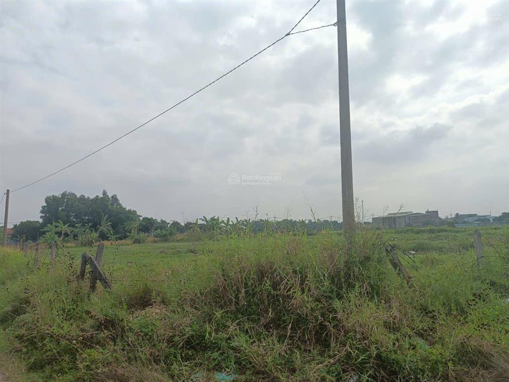 3.2 tỷ/1000m2 đất ngay võ văn bích, xã tân thạnh đông, liền kề hóc môn