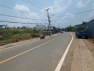 Bán đất 144,7m2 thổ cư tại mặt tiền đào sư tích, phước lộc, nhà bè, hcm, giá 8,1 tỷ  ngang 6,5m .