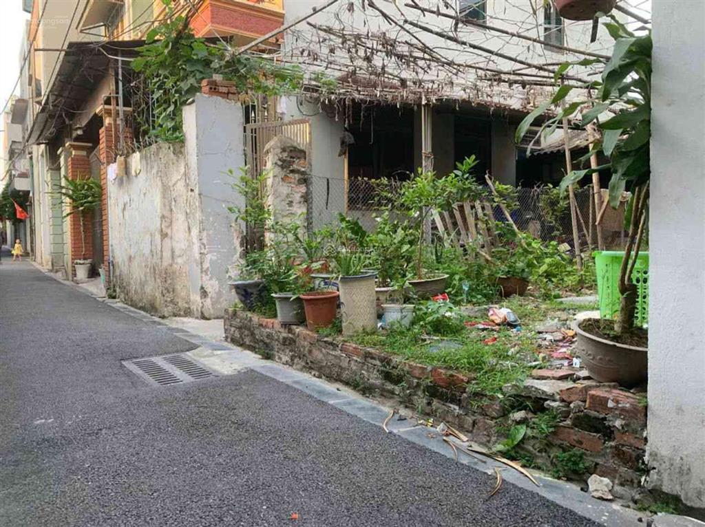 Chợ lắp ghép  nguyên khê  phúc thịnh 46,6m full thổ cư tài chính vừa tầm 2,95 tỷ
