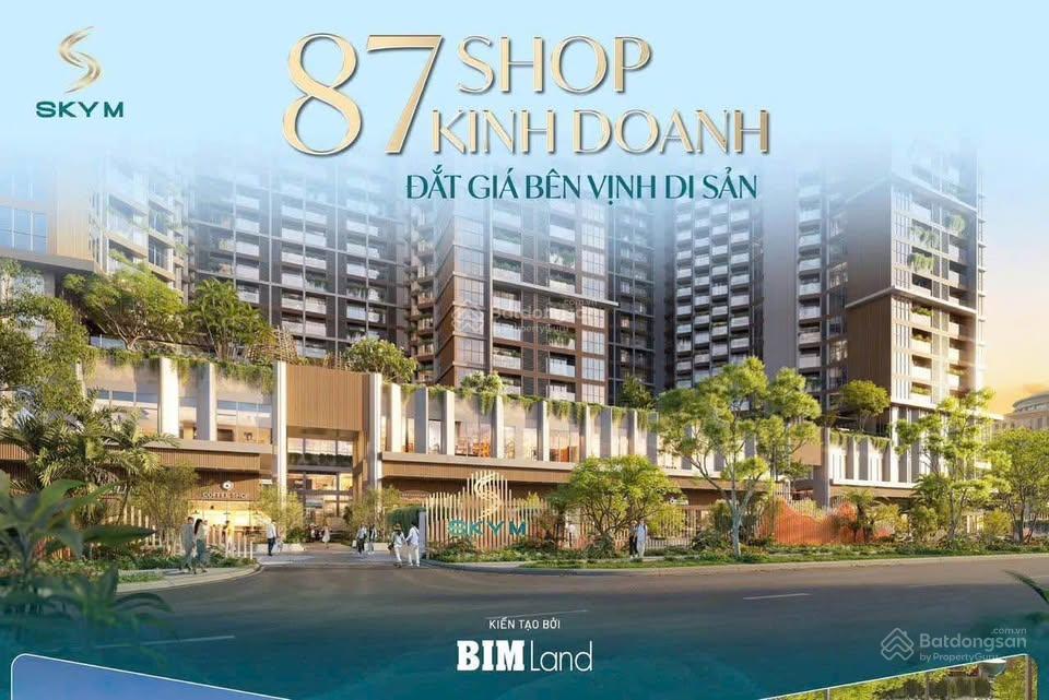 2 căn khối đế siêu đẹp  skym  hạ long  mặt chính đường hoàng quốc việt  130m2  kinh doanh tốt