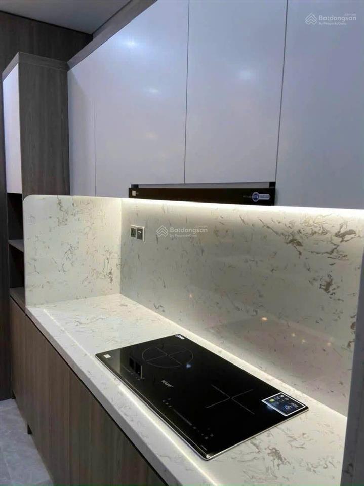 Cần bán căn hộ 2 phòng ngủ the peak m8, phú mỹ hưng, quận 7