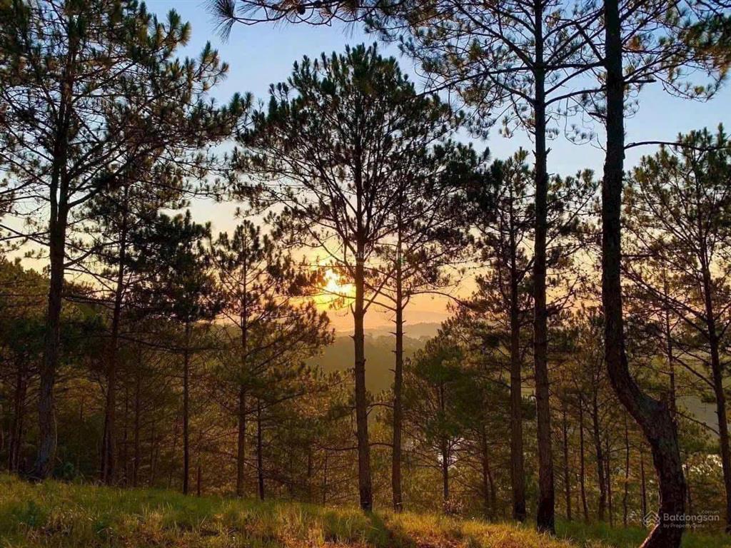 Giá bán biệt thự valley town thung lũng thanh xuân từ 12 tỷ  23 mặt tiền sinh lời cao