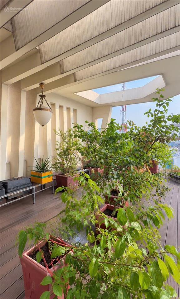 Siêu phẩm nhà cao cấp đặng văn ngữ phú nhuận hơn 90m2 ngang 6m 6 tầng