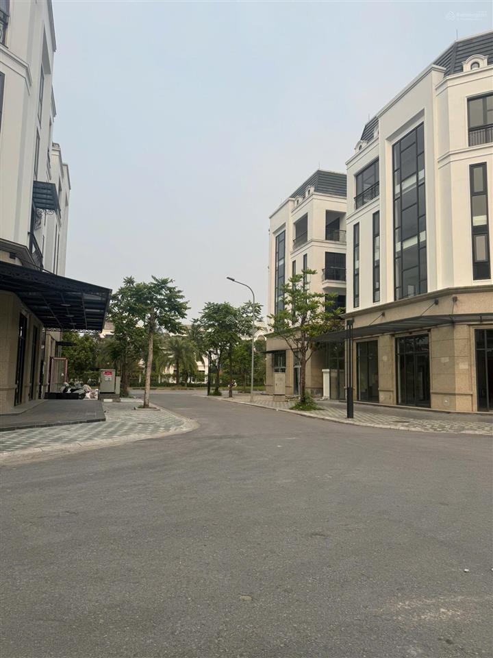 Bán biệt thự the diamond point, lô góc 2 mặt công viên, 145m2, 5 tầng, mt 7.8m, giá 48 tỷ.