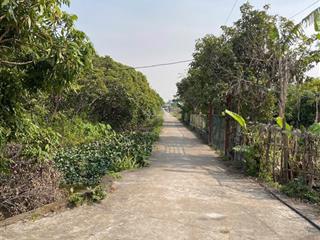 Đất nông nghiệp vườn ao chuồng gần 5000m2 trung tâm an lão hải phòng