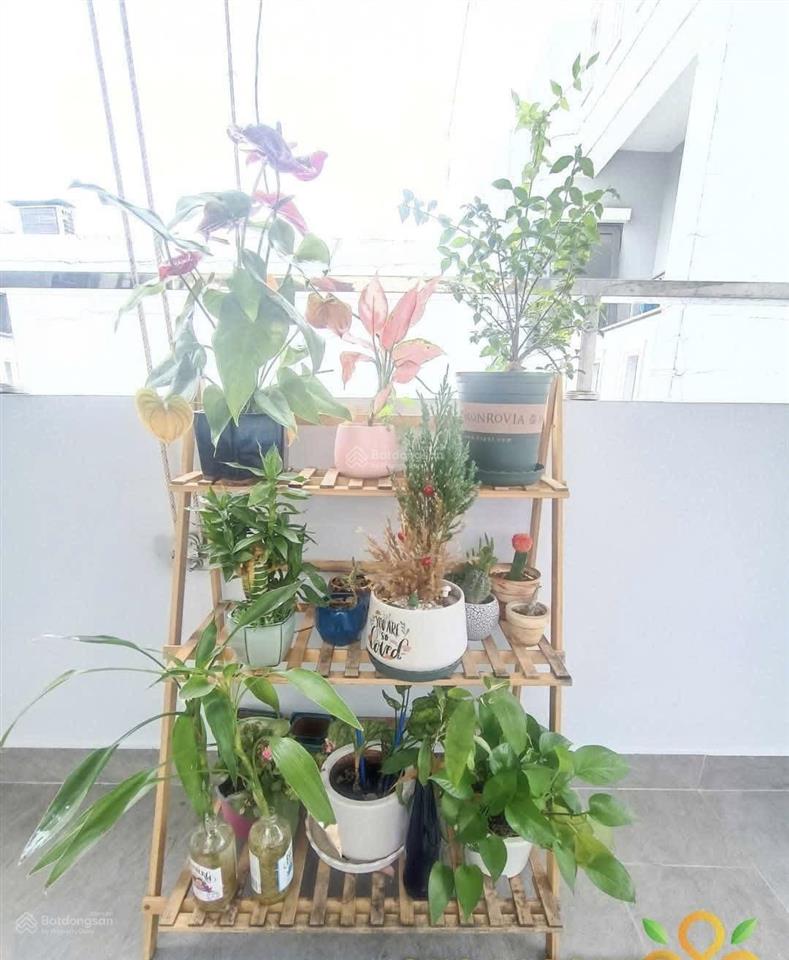 Toà văn phòng 6 tầng cao chót vót hướng view phố đi bộ nguyễn huệ từ xa  mt lê quốc hưng hơn 600m2