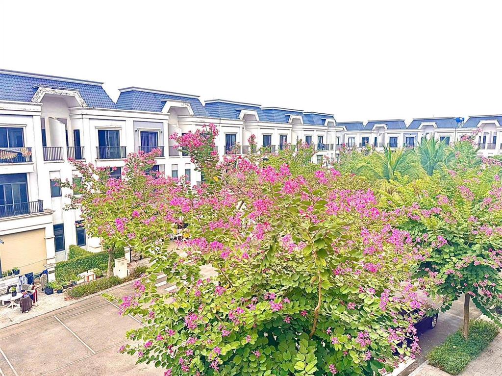 Bán nhà 1 trệt 2 lầu giá ngộp 2ty450 khu sola city bến lức long an