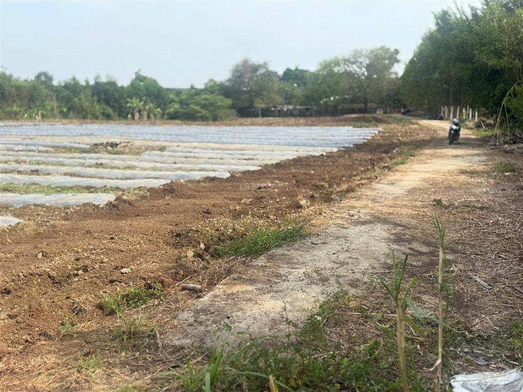 Bán lô đất 7444,2m 1 sẹt quốc lộ 56 xã đá bạc, châu đức