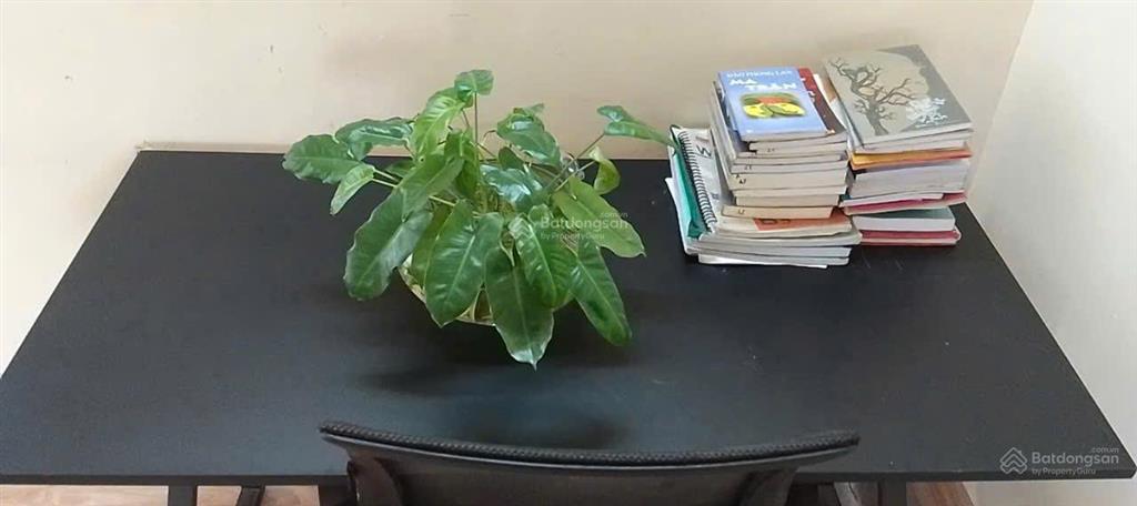 Cho 1 nam sinh viên thuê phòng giá rẻ gần lăng cha cả, tân bình, 1,6 triệu/tháng