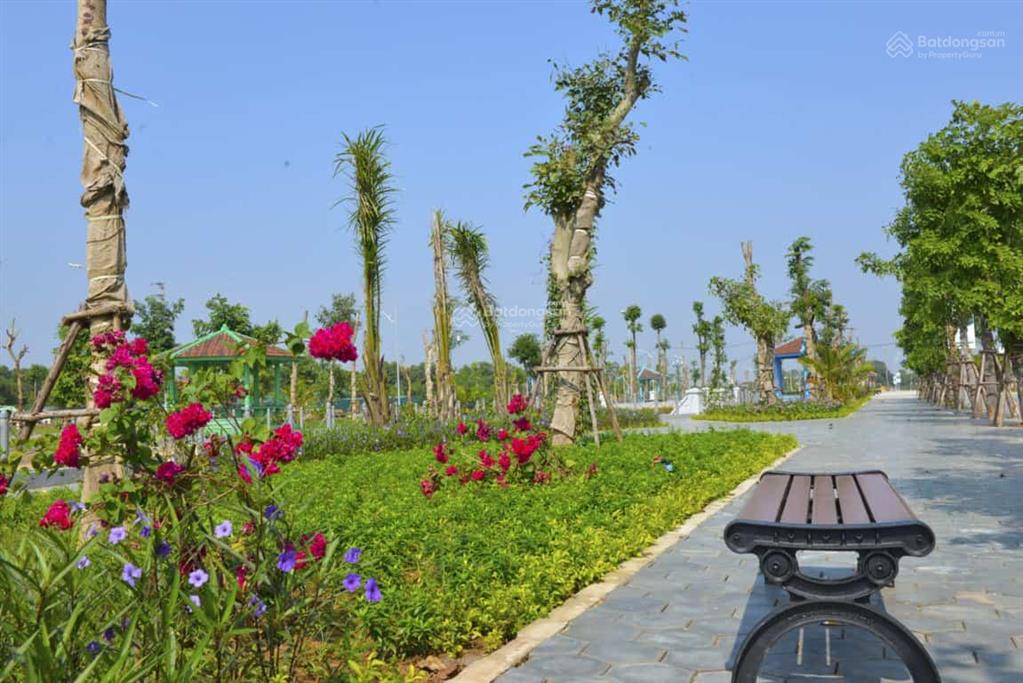 Liền kề biệt thự ceohomes hana garden city
