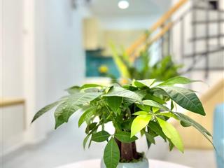 Sd60m2, bán nhà đẹp 2 tầng, trần quang diệu, p9 quận 3, 4 tỷ nhỉnh