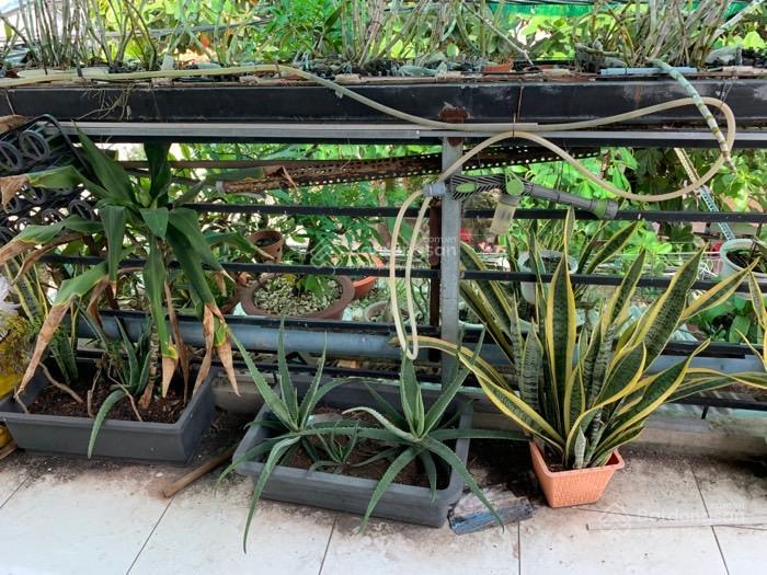 Nhà mặt tiền 1 trệt 1 lầu ~60m2 mặt tiền ba đình tiện xây mới giá nhỉnh 9 tỷ