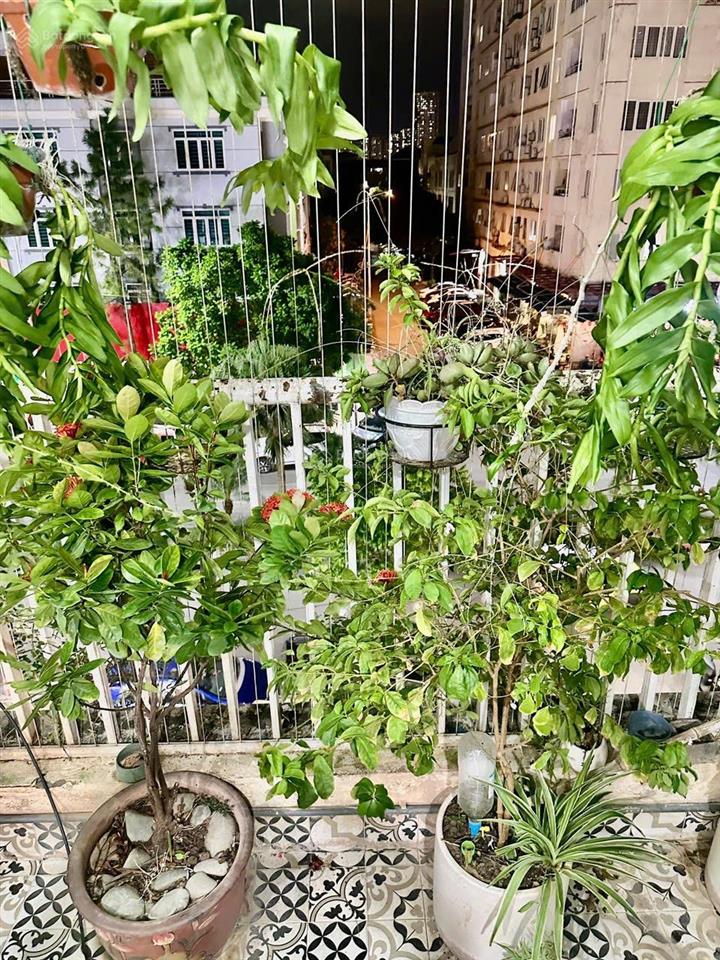 Bán căn góc ct2 văn khê 145m2, chỉ 48.27 triệu/m2, giá rẻ hiếm có nhà đẹp vào ở ngay