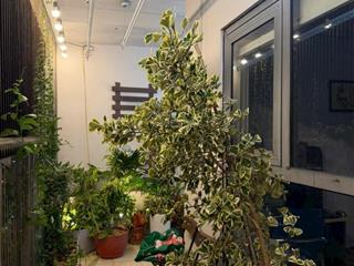 Bán căn hộ sân vườn hpc landmark hà đông 103m² vườn treo cực đẹp chỉ 6,2 tỷ