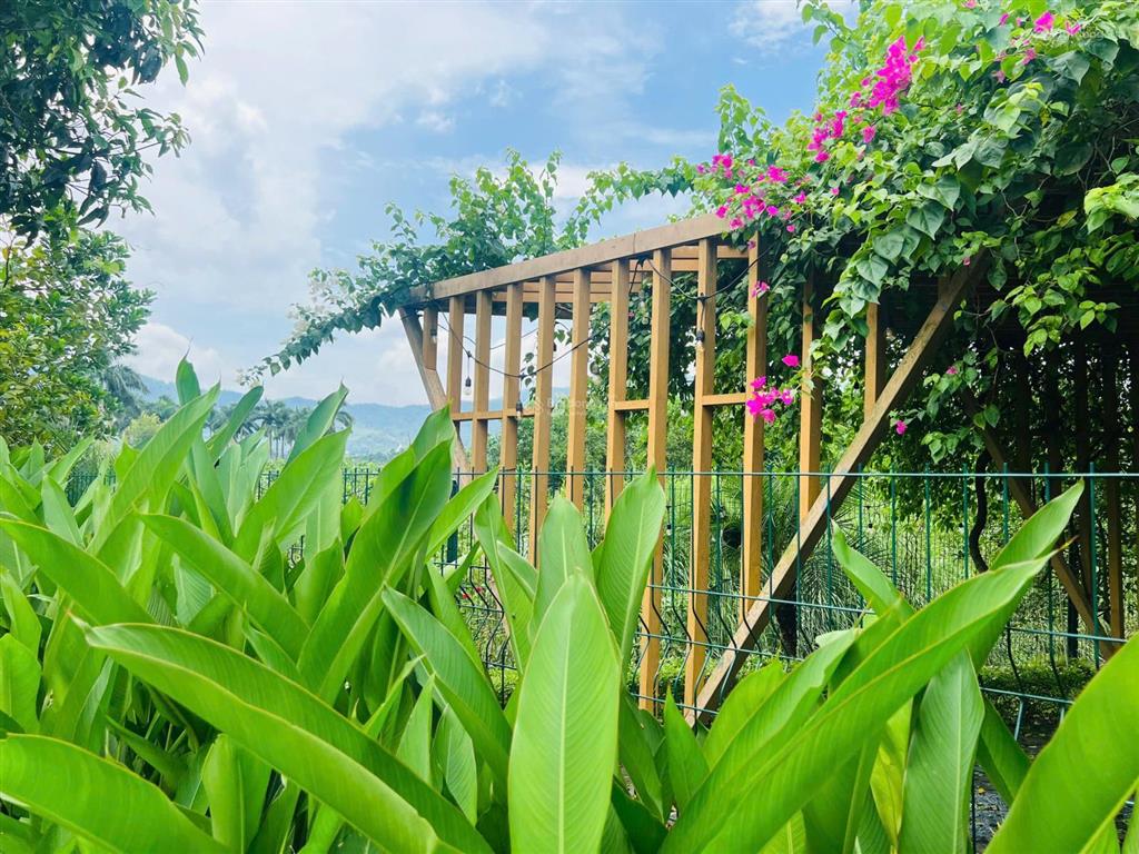 Đất nền nghỉ dưỡng 315m2  sổ đỏ lâu dài  quy hoạch đất ở tầm nhìn 100 năm  ra đường lớn 40m