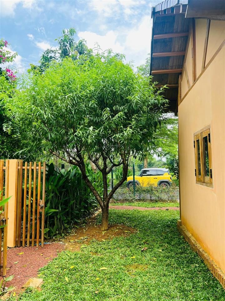 Đất nền nghỉ dưỡng 315m2  sổ đỏ lâu dài  quy hoạch đất ở tầm nhìn 100 năm  ra đường lớn 40m