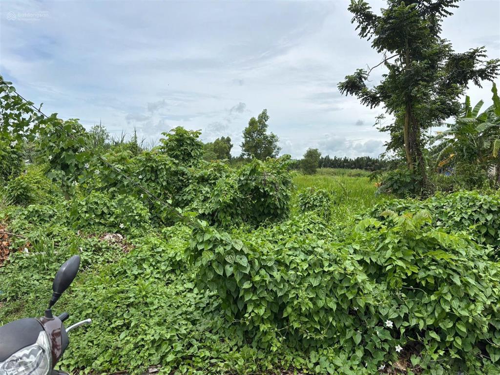 Cần bán lô đất lê văn lương nhà bè mặt đường 6m