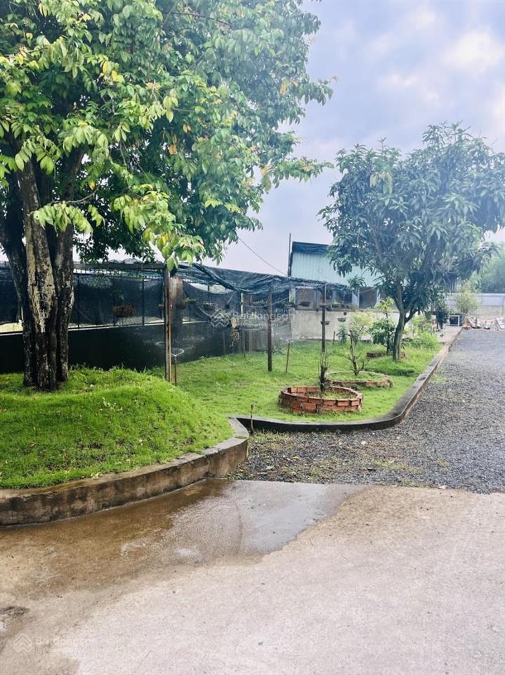 Sở hữu nhà vườn 1.123m mặt tiền xe tải giá chỉ 5.7 tỷ hiếm tại lê minh xuân, bình chánh