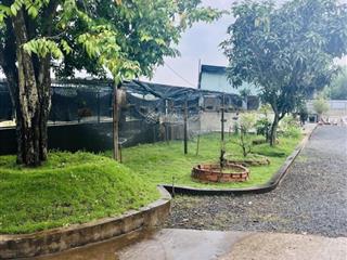 Sở hữu nhà vườn 1.123m mặt tiền xe tải giá chỉ 5.5 tỷ hiếm tại lê minh xuân, bình chánh