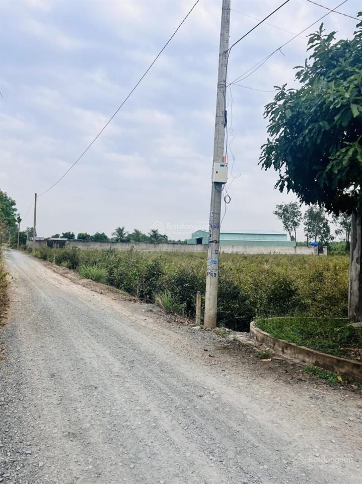 Sở hữu nhà vườn 1.123m mặt tiền xe tải giá chỉ 5.7 tỷ hiếm tại lê minh xuân, bình chánh