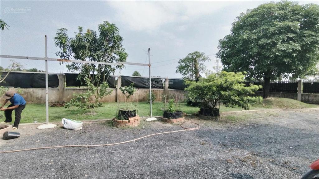Hiếm có khó tìm sở hữu nhà vườn 1.123m2 mặt tiền xe tải tại lê minh xuân, bình chánh 5.7 tỷ