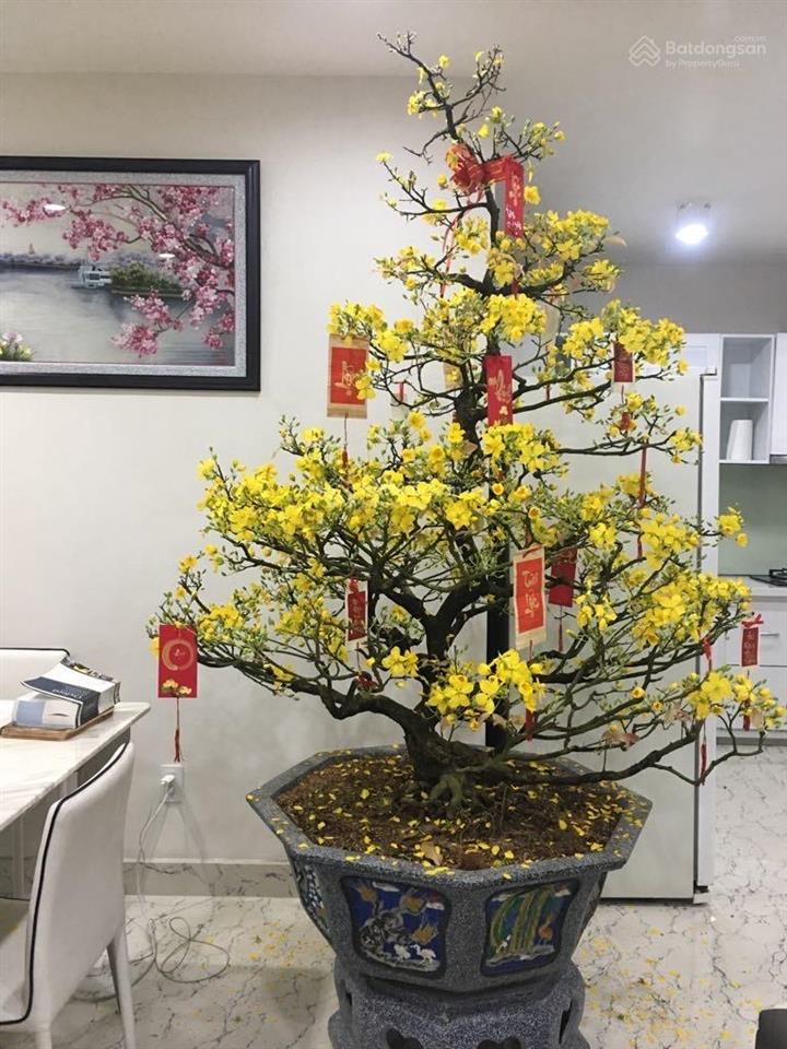 Gia đình bán căn góc cc thuận việt q.11. dt 89m2 3p 2wc. giá 4,95 tỷ.  0794 988 ***