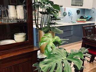 Cần bán căn hộ 3 ngủ 106m full nội thất chung cư chelsea residences, đường trần kim xuyến giá 12 tỷ